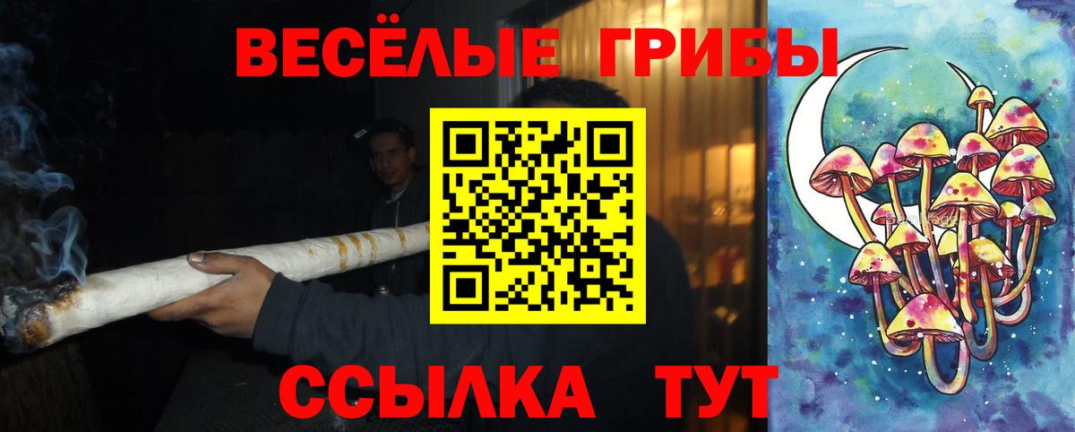 Видное  Псилоцибиновые грибы мицелий  Вход с VPN 