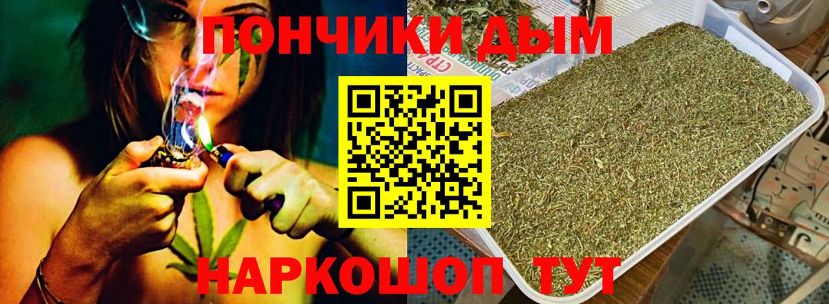 Конопля план  Вход с VPN  Марихуана планчик  Видное  Каннабис семена 